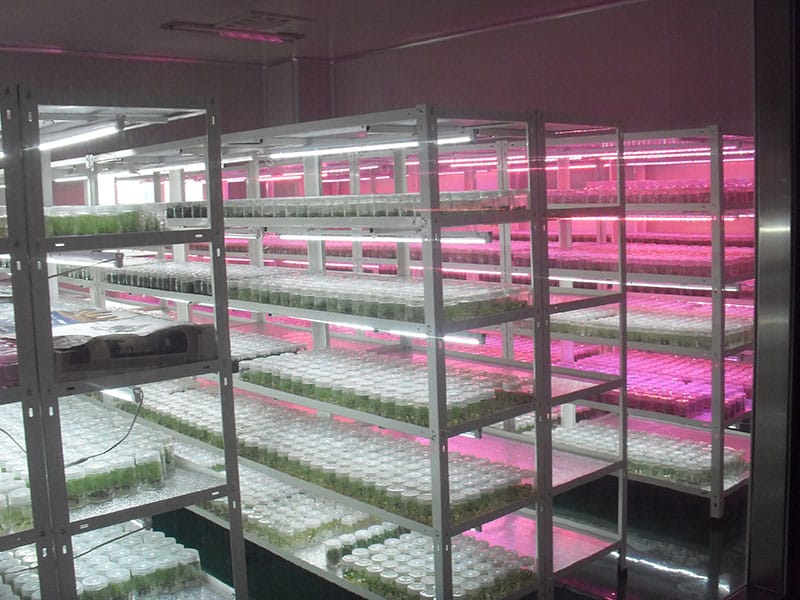 蓝莓香蕉视频下载地址链接室及仪器设备