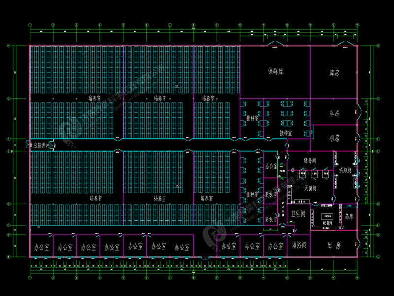 5000平香蕉视频下载地址链接室平面设计图