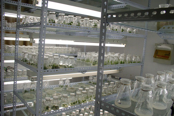 香蕉视频下载地址链接室