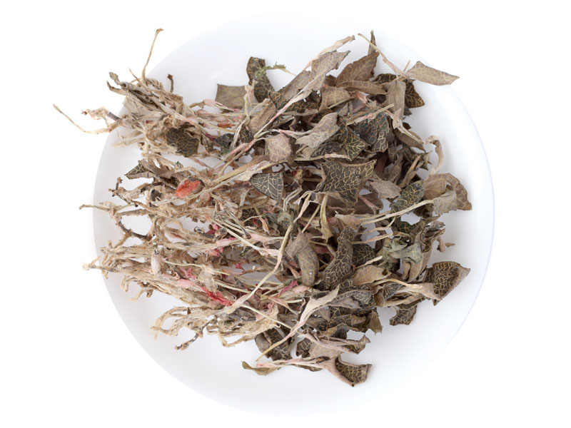 金线莲香蕉视频下载地址链接室及仪器设备