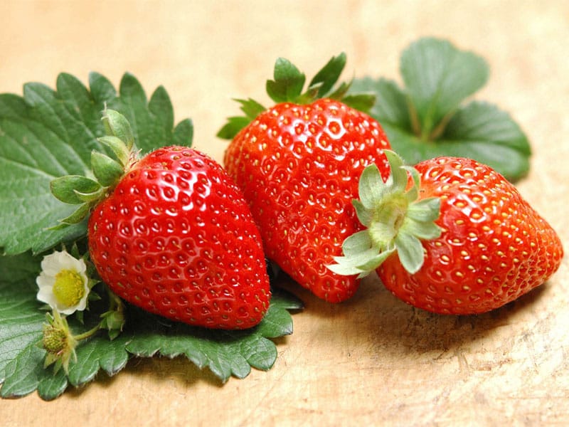 草莓香蕉视频下载地址链接室及仪器设备