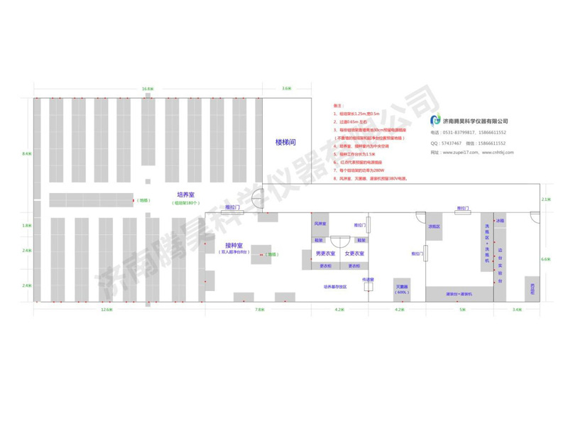 200平米香蕉视频下载地址链接室平面设计图