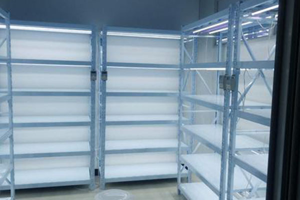 香蕉视频下载地址链接架