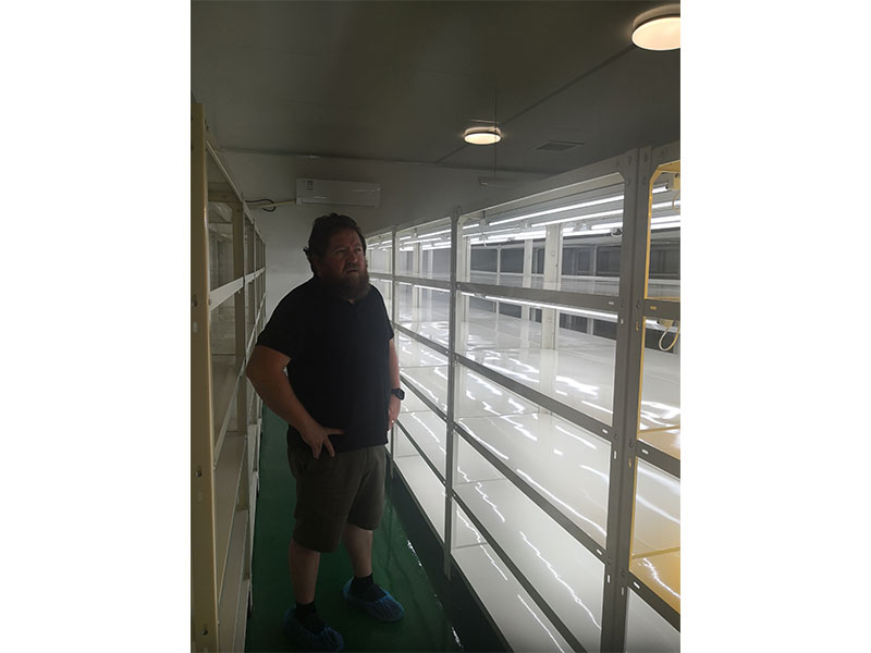 组织培养实验室香蕉视频黄免费下载