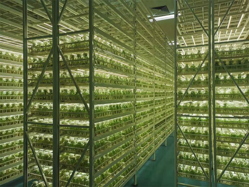 插扣式香蕉视频下载地址链接架