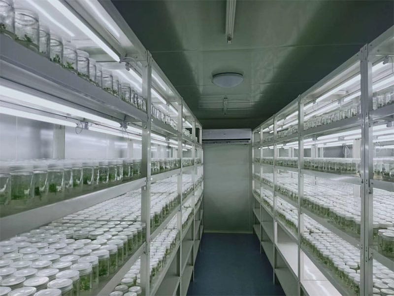 层板式香蕉视频下载地址链接架