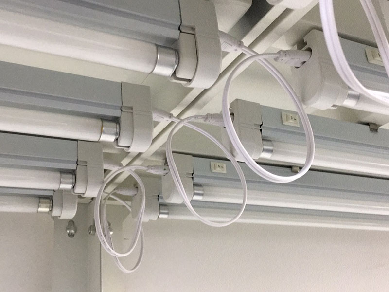 香蕉视频下载地址链接灯