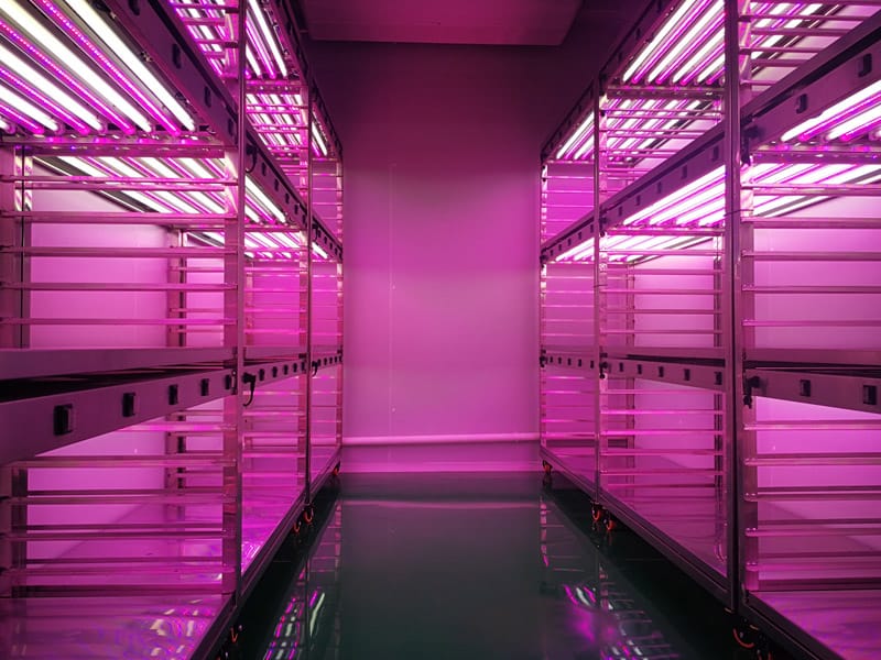 不锈钢香蕉视频下载地址链接架