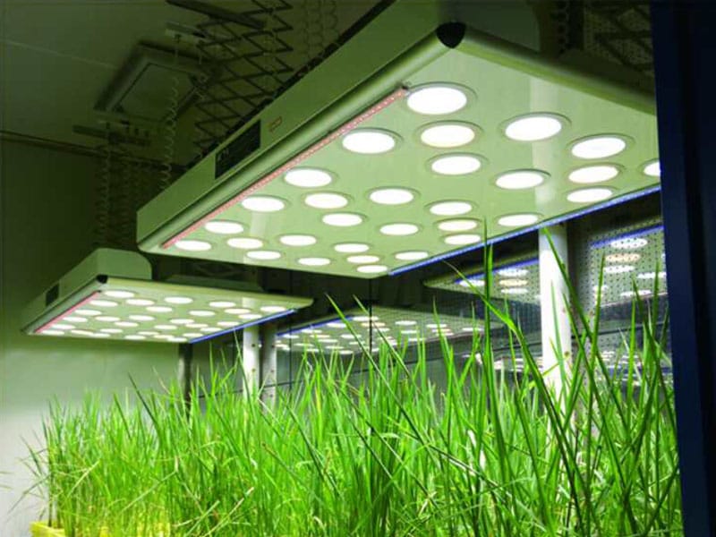 香蕉视频下载地址链接灯