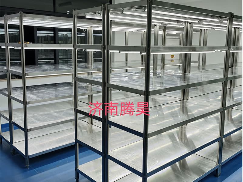 新款不锈钢香蕉视频下载地址链接架