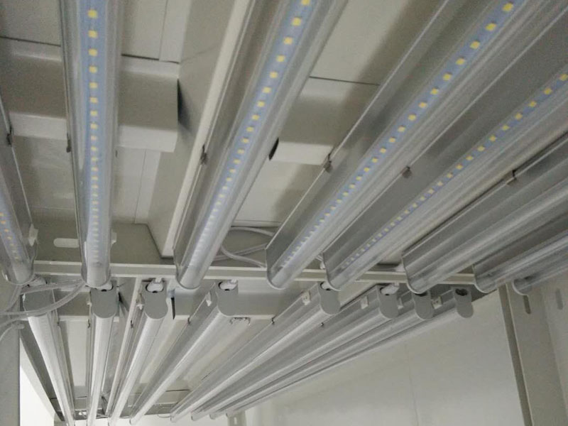 香蕉视频下载地址链接灯