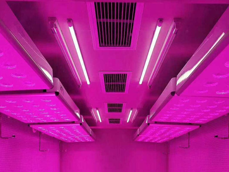 香蕉视频下载地址链接灯