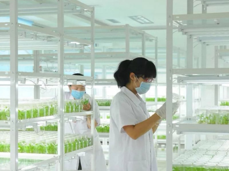 层板式香蕉视频下载地址链接架