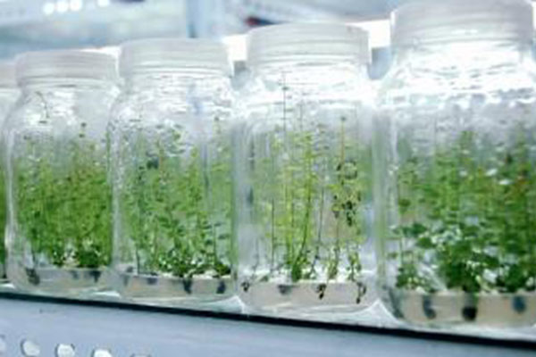 香蕉视频下载地址链接仪器