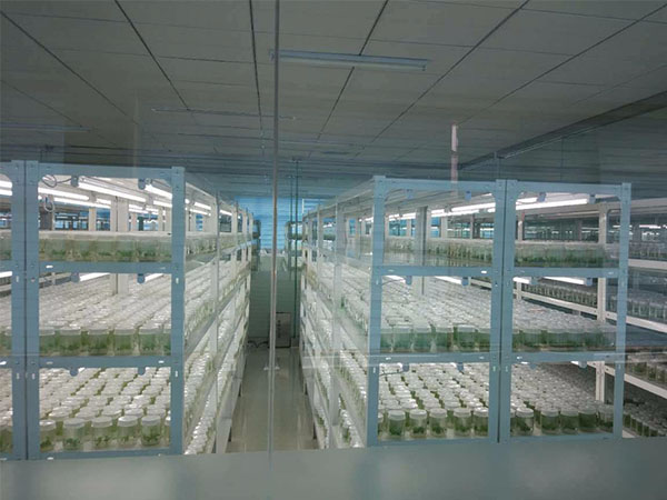 香蕉视频APP在线观看培养架的产品特性