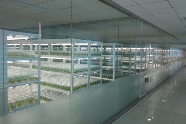 香蕉视频下载地址链接室