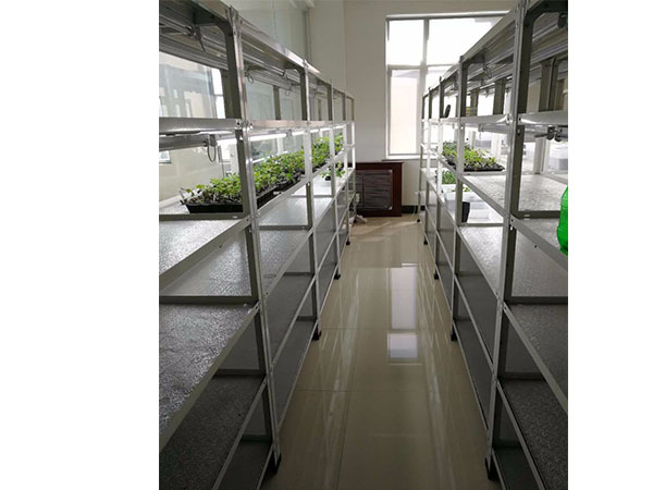 黑提葡萄香蕉视频下载地址链接快繁技术