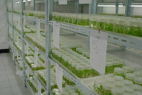 香蕉视频下载地址链接室不同的地方消毒方法是怎样的