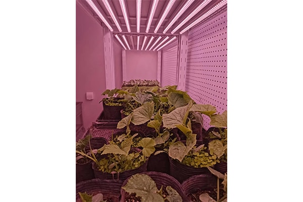 香蕉视频下载地址链接