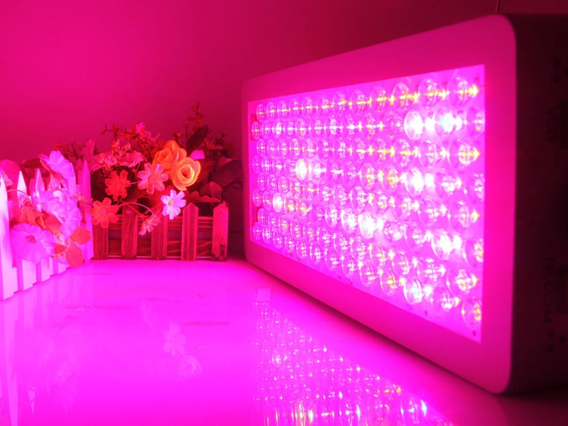 香蕉视频下载地址链接设备