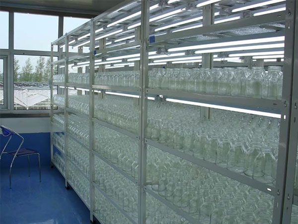 香蕉视频下载地址链接室建设中为什要放置高效节能香蕉视频下载地址链接架