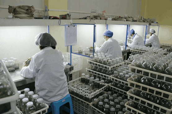 香蕉视频下载地址链接室常用的仪器设备--超净台