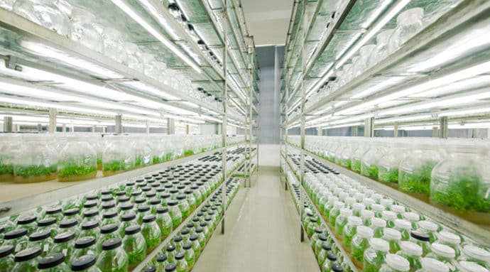 香蕉视频下载地址链接  香蕉视频下载地址链接架