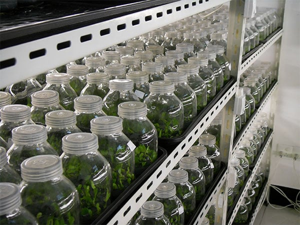 香蕉视频下载地址链接设备