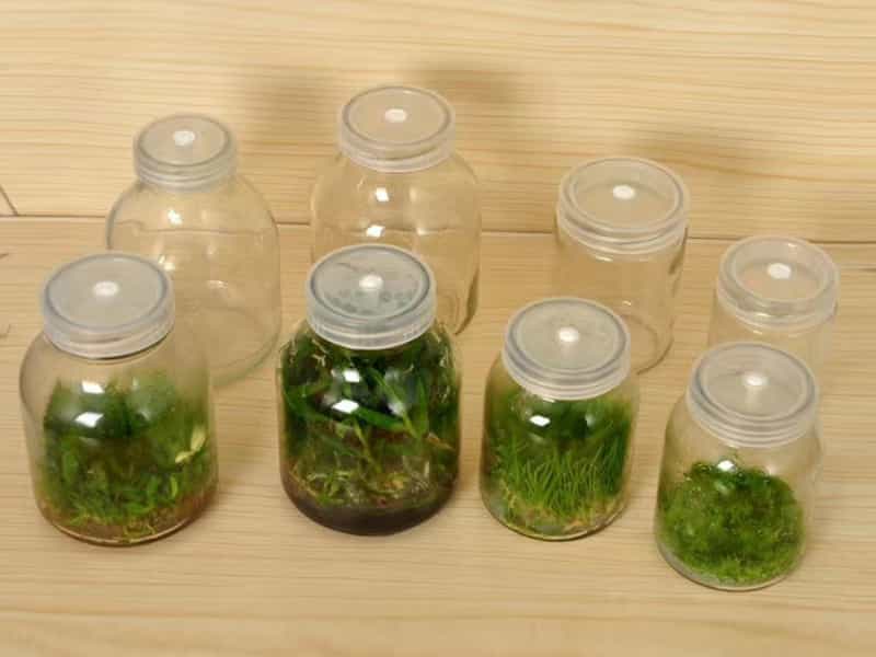 香蕉视频下载地址链接瓶