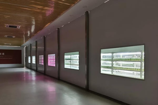 香蕉视频下载地址链接  香蕉视频下载地址链接室