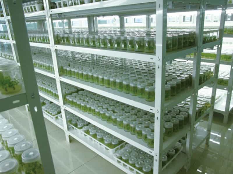 香蕉视频下载地址链接  香蕉视频下载地址链接设备