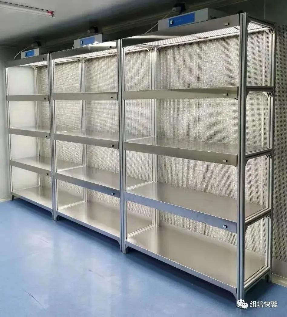 香蕉视频下载地址链接架，培养架，植物香蕉视频下载地址链接架，香蕉视频下载地址链接室设备