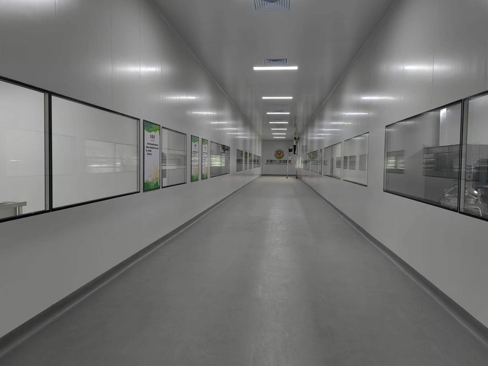 香蕉视频下载地址链接室净化预算